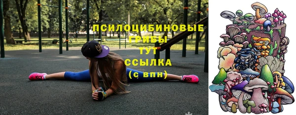 прущие грибы Елабуга