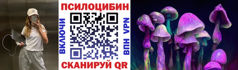Галлюциногенные грибы Cubensis  как найти   Мирный 